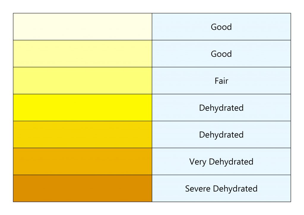 Dehydration Urine Color Chart In Spanish Urine Color Chart Template 6 Free Templates In PDF